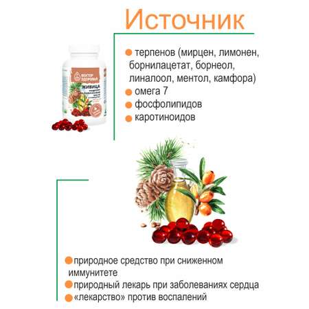 Растительные концентраты Алтайские традиции Живица кедровая на облепиховом масле 240 капсул