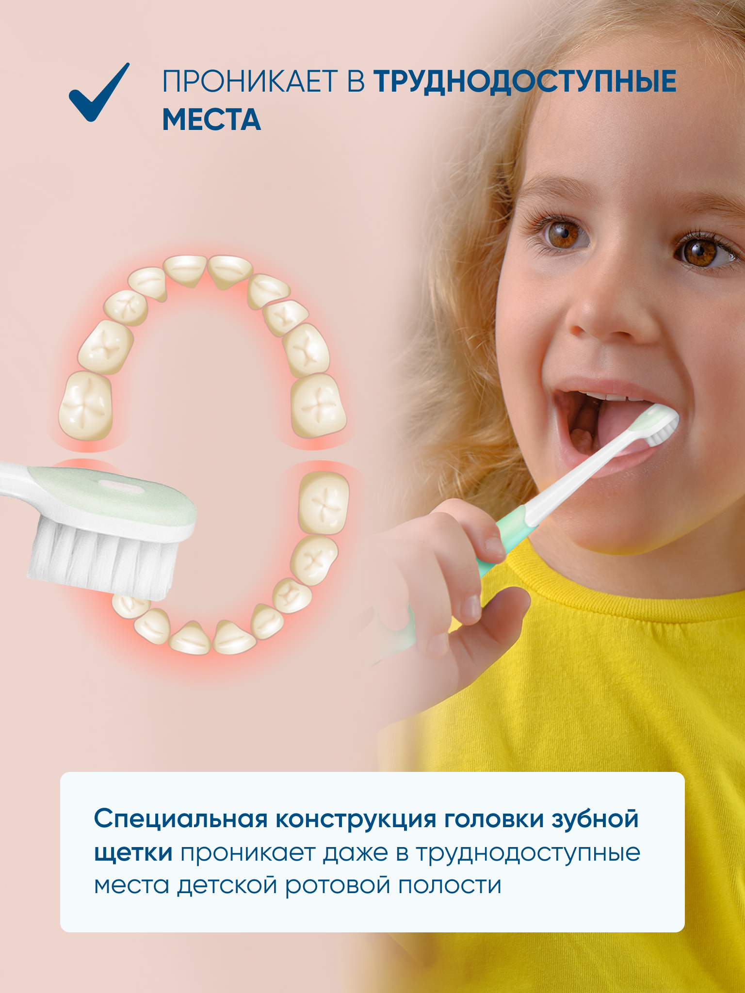 Зубная щетка классическая PECHAM - фото 3