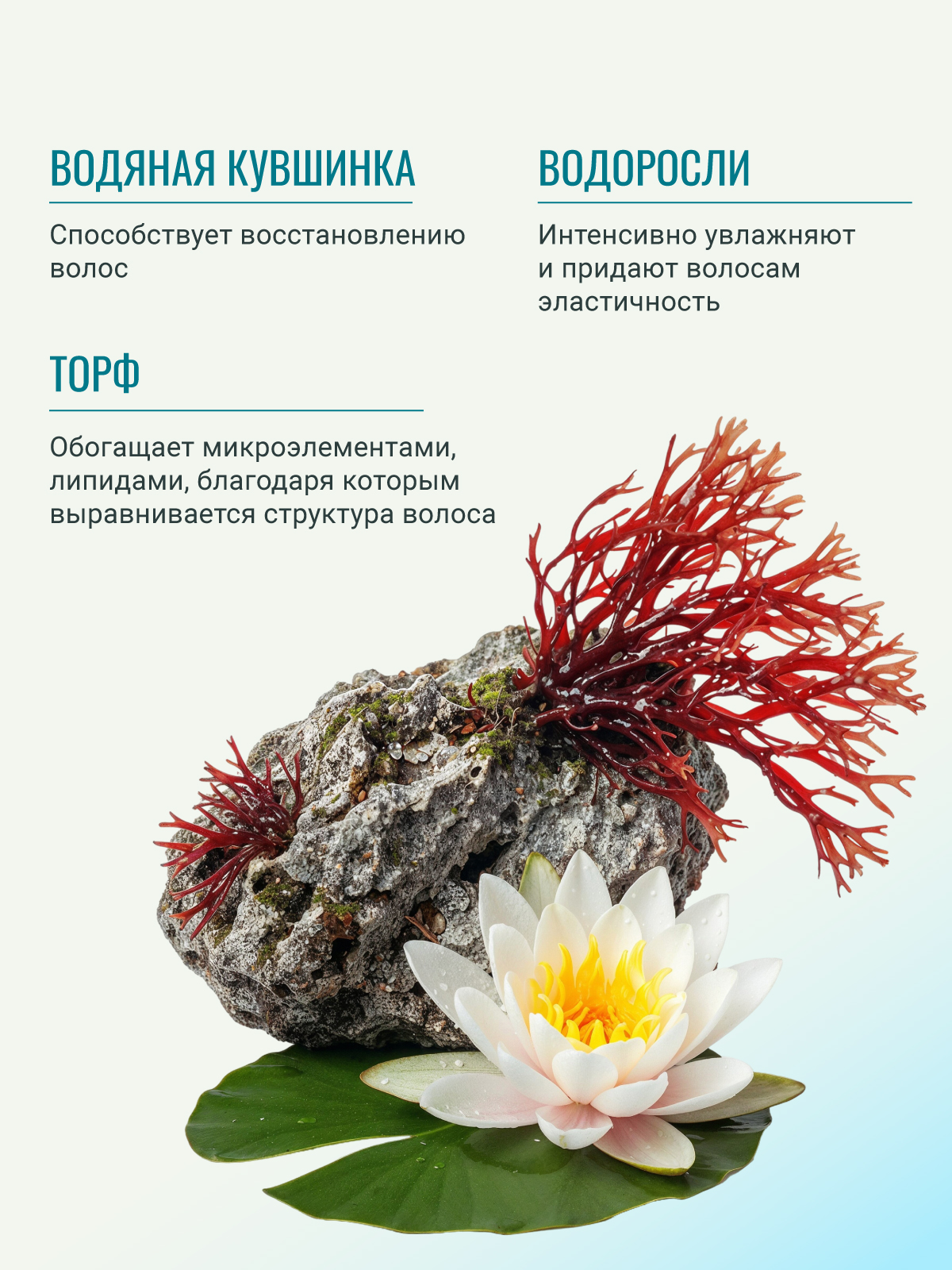 Бальзам ESTEL KIKIMORA для увлажнения 1000 мл 1 шт. - фото 3