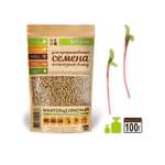 Семена для микрозелени MegaMedia мангольд