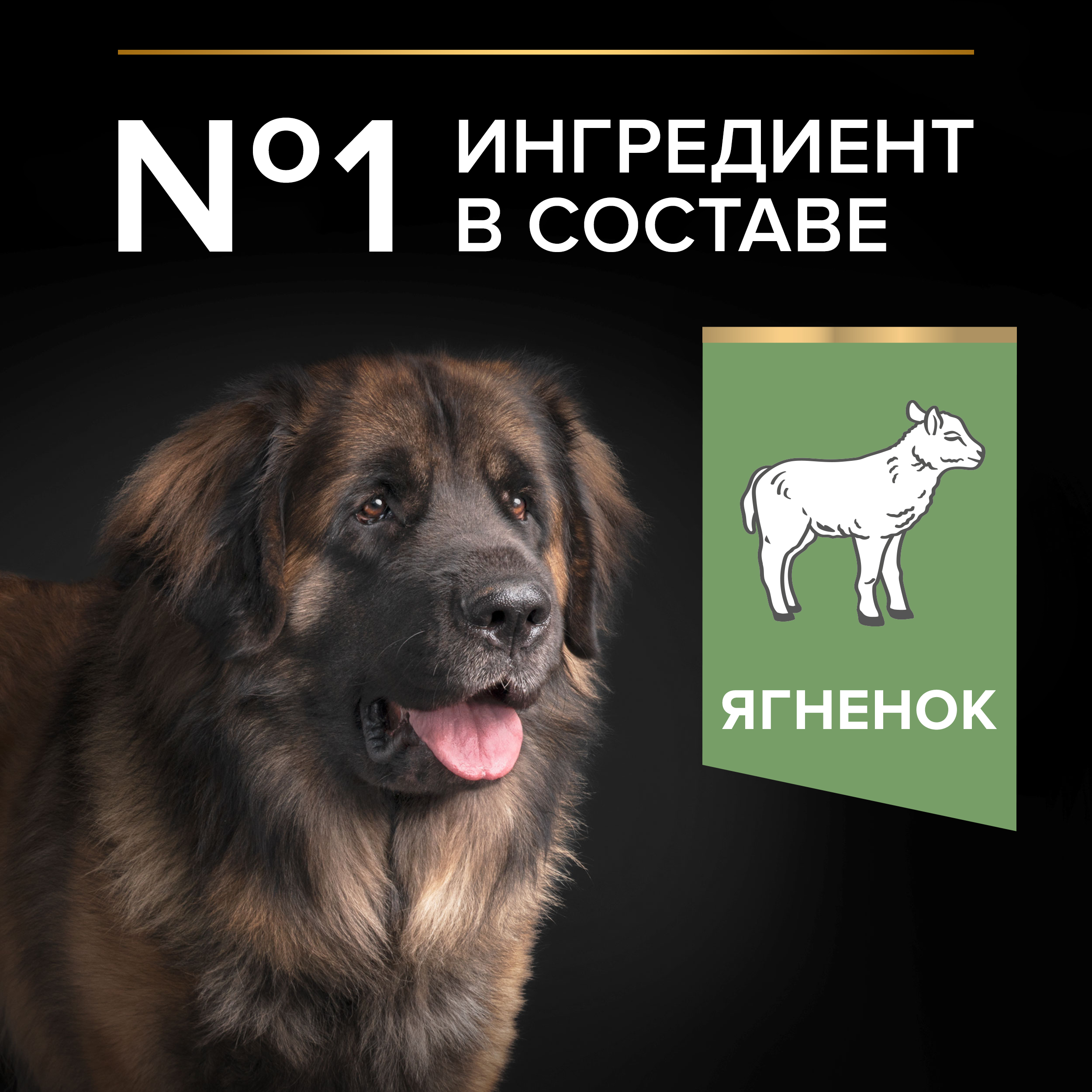 Корм сухой для собак PRO PLAN SENSITIVE DIGESTION 14 кг с ягненком для крупных пород - фото 4
