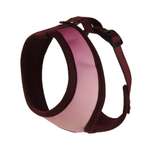 Шлейка-жилетка для собак Barbaks Градиент S шея 28см грудь 32-45см