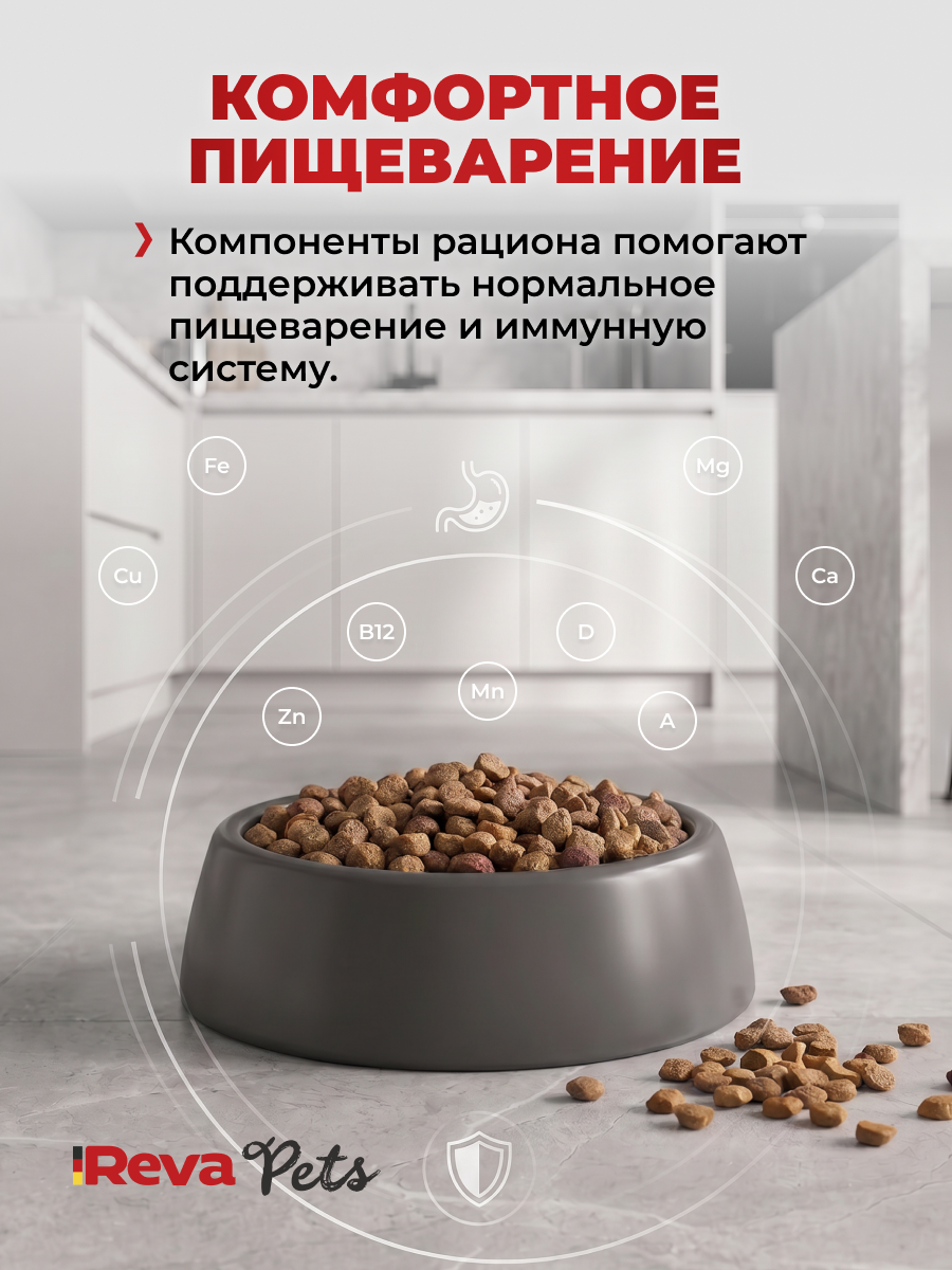 Корм для собак Reva Care сухой полнорационный для собак всех пород с говядиной, 2 кг - фото 7