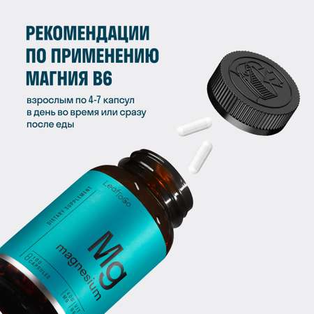 Магний В6 + Омега 3 LeafToGo для здоровья сердца и мозга, 90 капсул