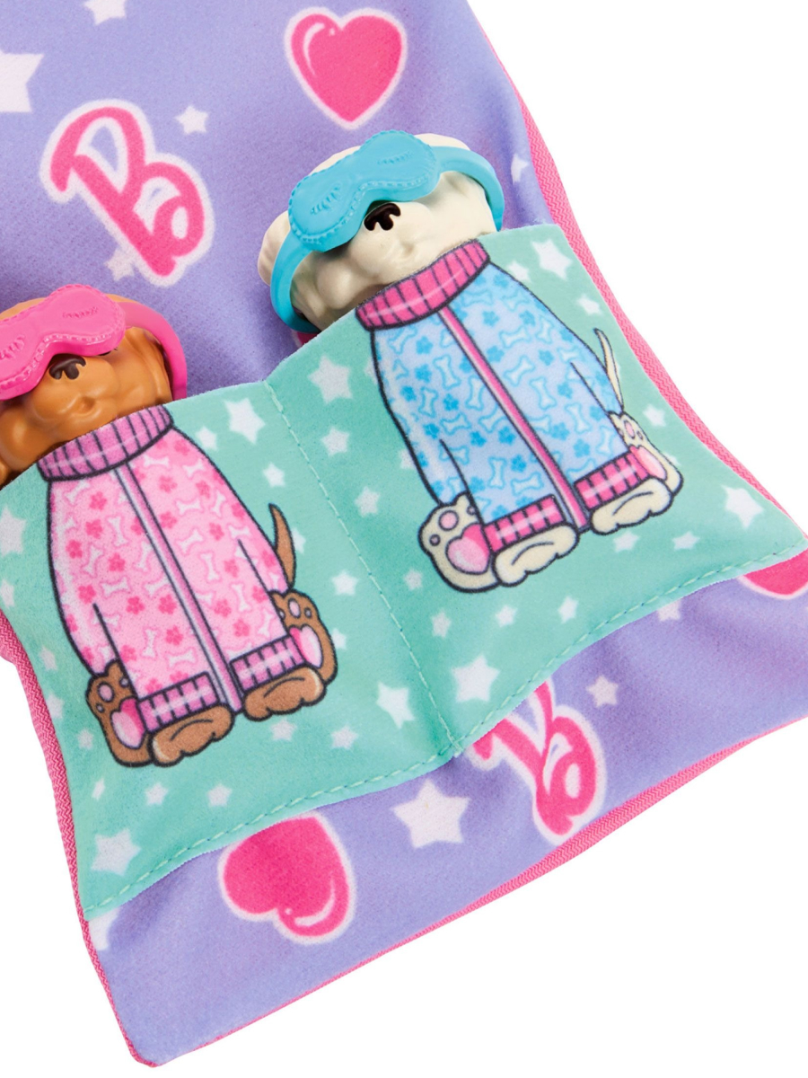 Кукла модельная Barbie Пижамная вечеринка С щенками высота 29 см HXN01 - фото 9