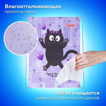 Мешок для обуви Пифагор