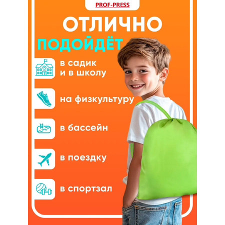 Мешок для обуви Prof-Press