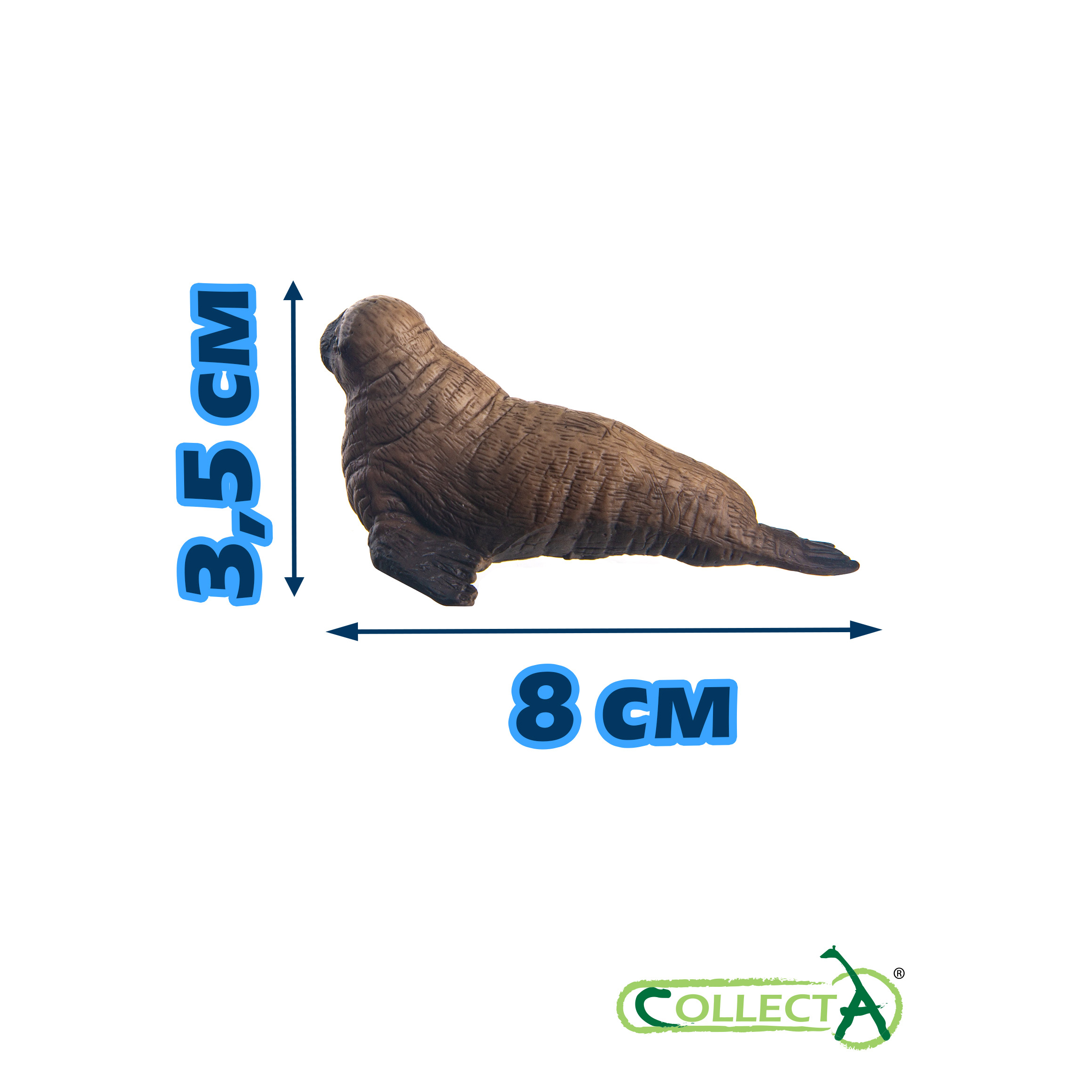 Фигурка Collecta Детёныш моржа - фото 2