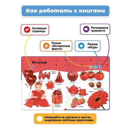 Комплект говорящих книжек BertToys Нажималки: Транспорт + Цвета