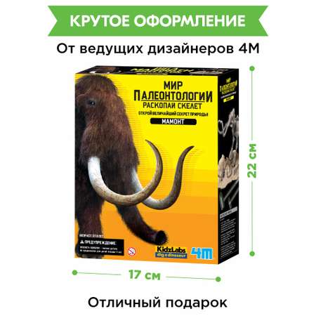 Набор для раскопок 4M