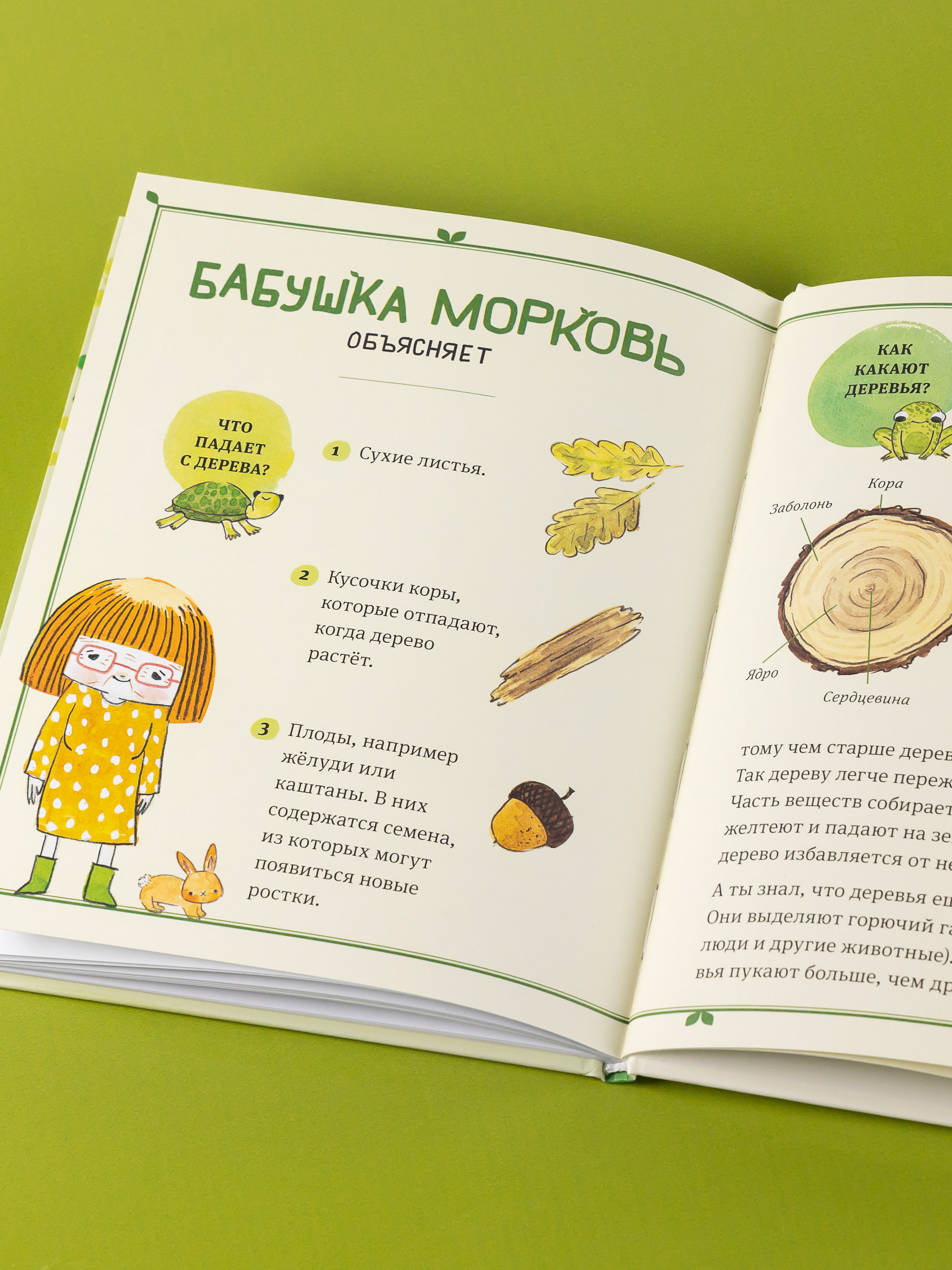 Книга Альпина. Дети В саду Базилика Как какают деревья - фото 10