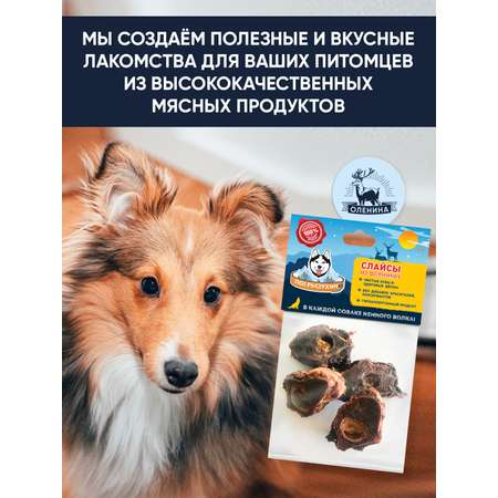 Лакомство для собак Погрызухин Слайсы хребта 45 г из северного оленя