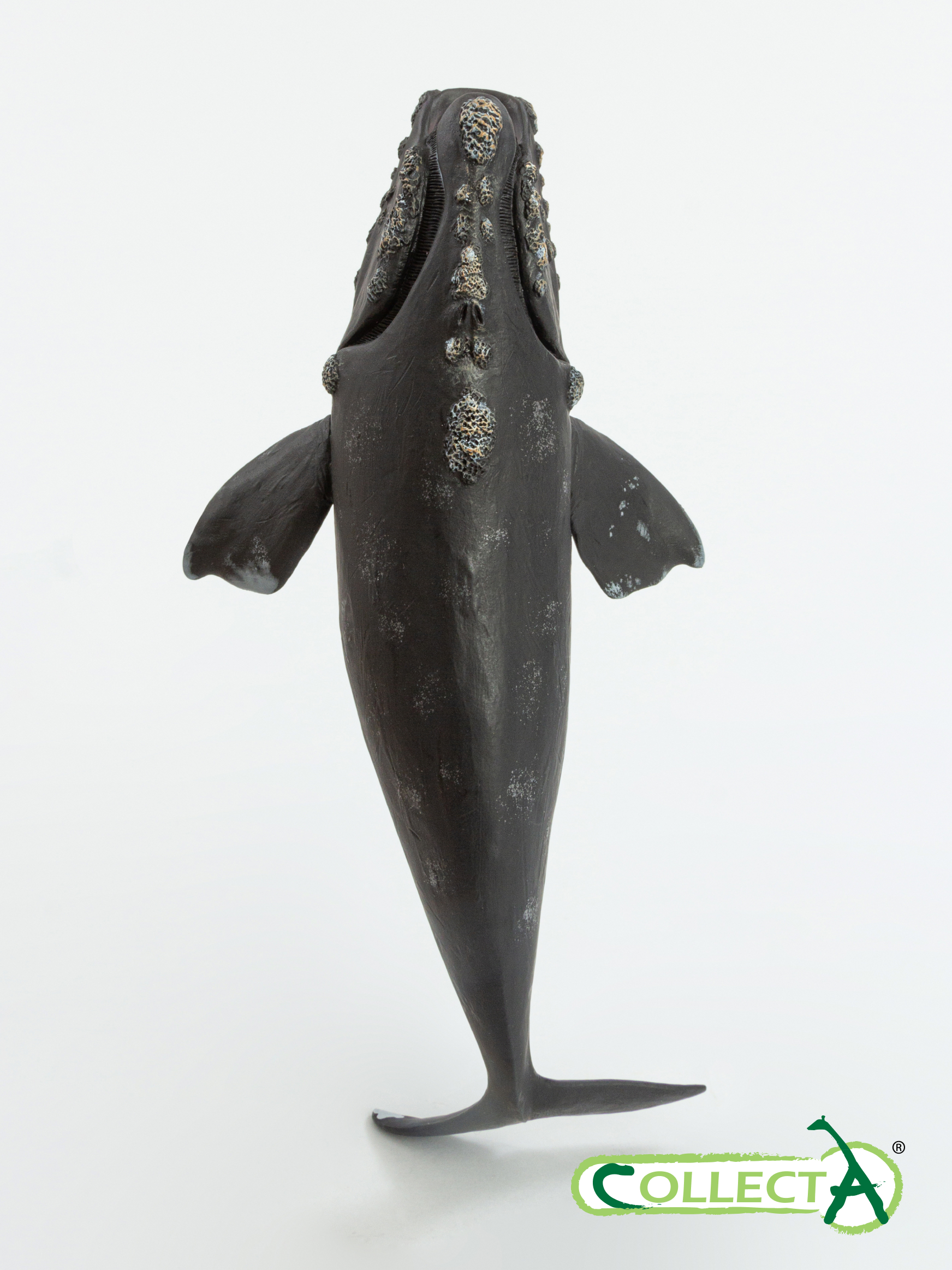 Фигурка Collecta Южный кит - фото 9