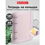 Тетрадь со сменным блоком Brauberg клетка 120 лист.