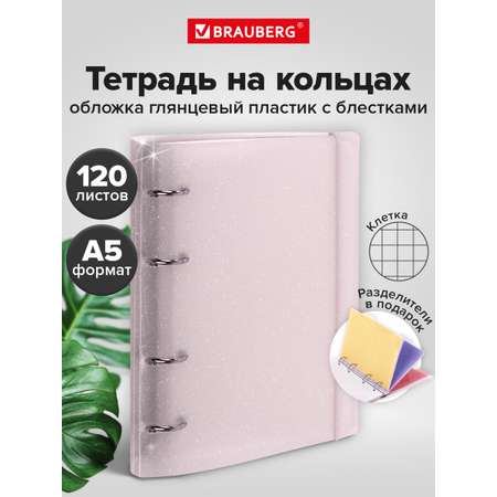 Тетрадь со сменным блоком Brauberg клетка 120 лист.