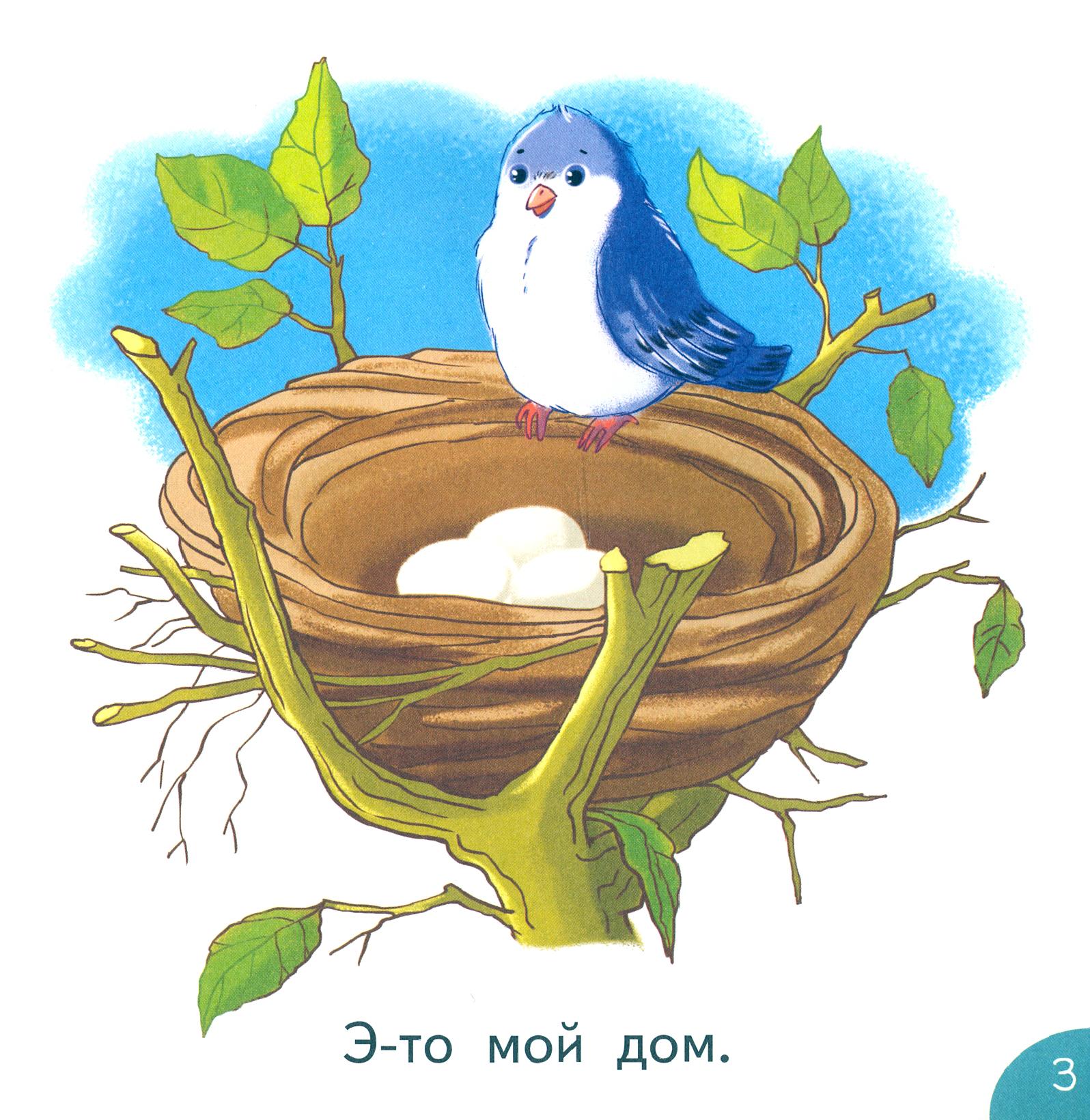 Книга Качели Мой дом - фото 4