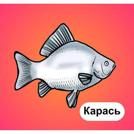 Карточки Учитель Рыбы