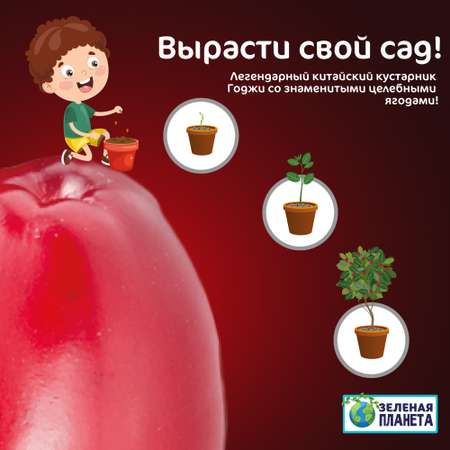 Набор для выращивания ЗЕЛЕНАЯ ПЛАНЕТА