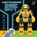 Робот РУ IQ BOT Кибер Бот