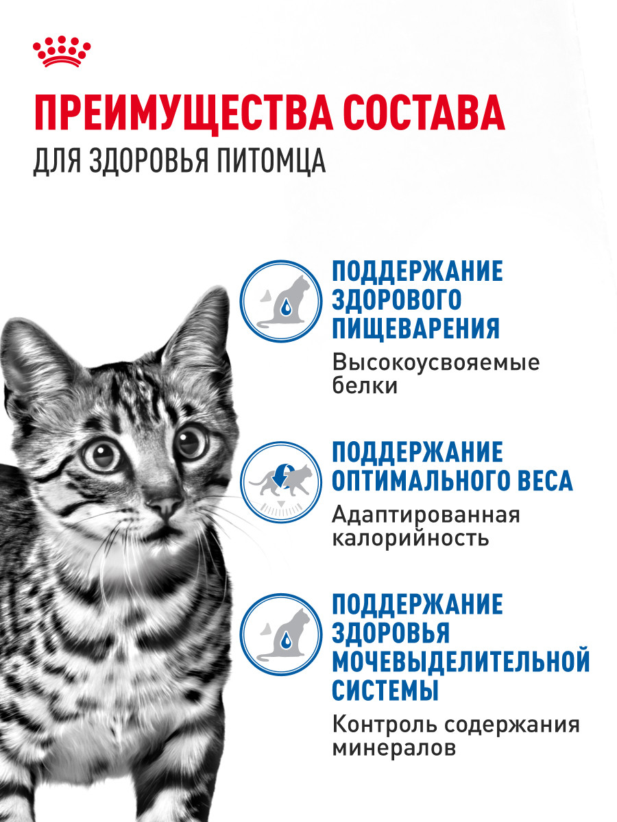 Корм для кошек ROYAL CANIN 85г Indoor Sterilised соус для живущих в помещении - фото 3