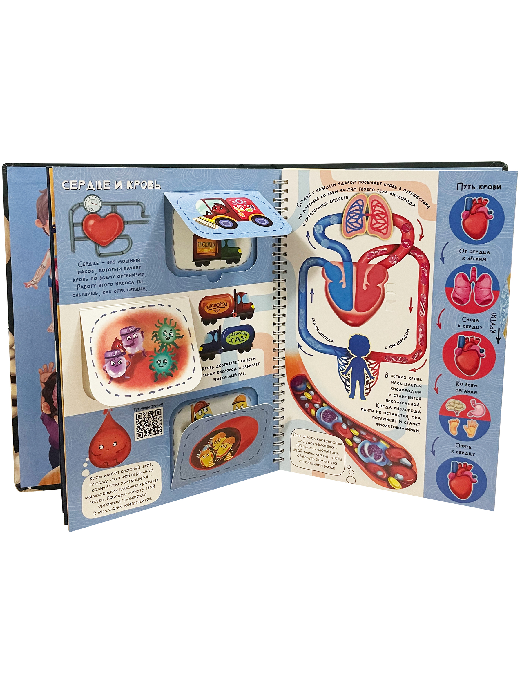 Интерактивная энциклопедия БимБиМон Знакомься твое тело - фото 9