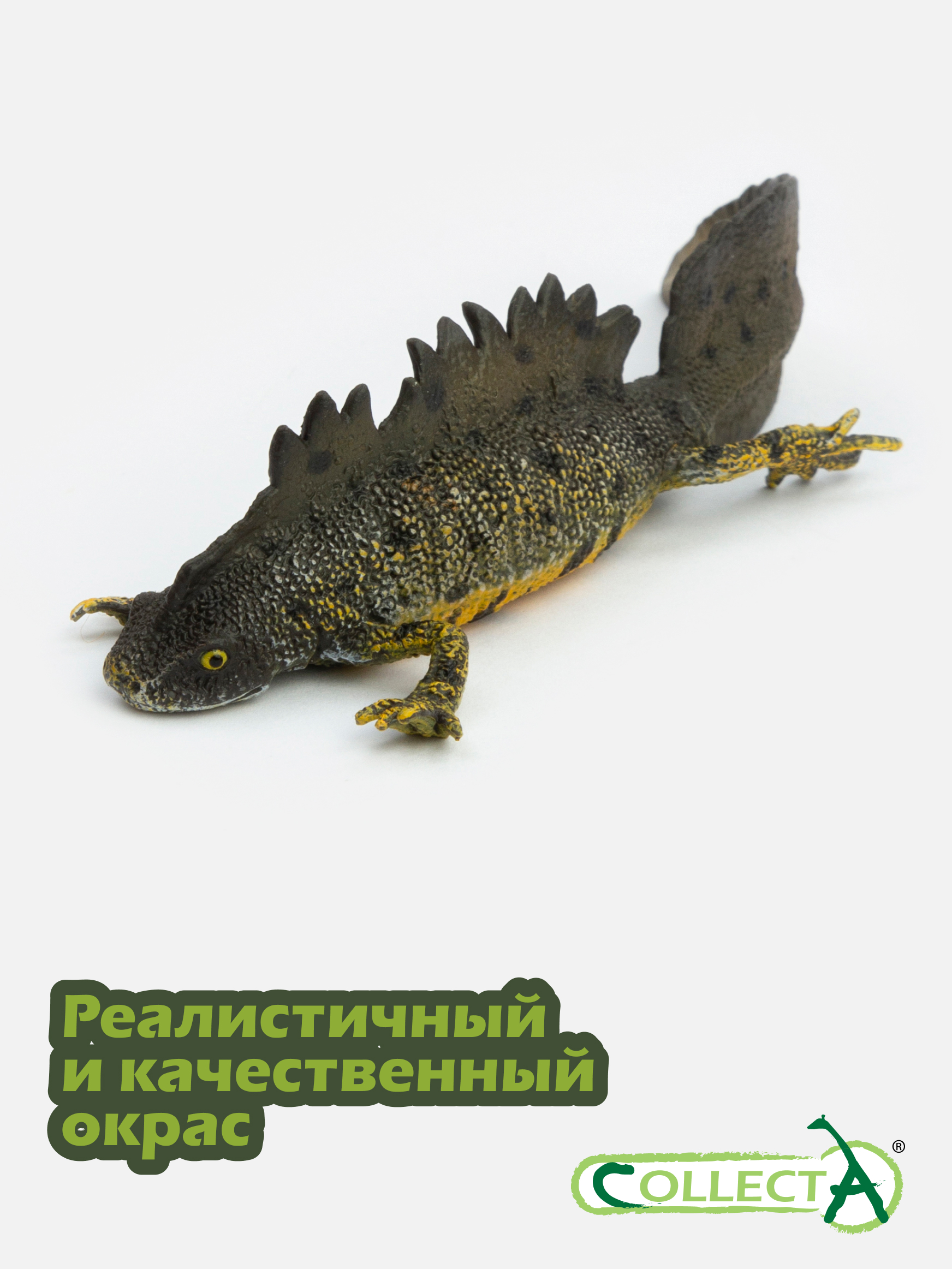 Фигурка Collecta Гребенчатый тритон 3см - фото 4