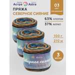 Пряжа Astra Premium 100гр 210м 3шт
