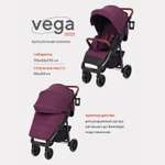 Коляска прогулочная Rant