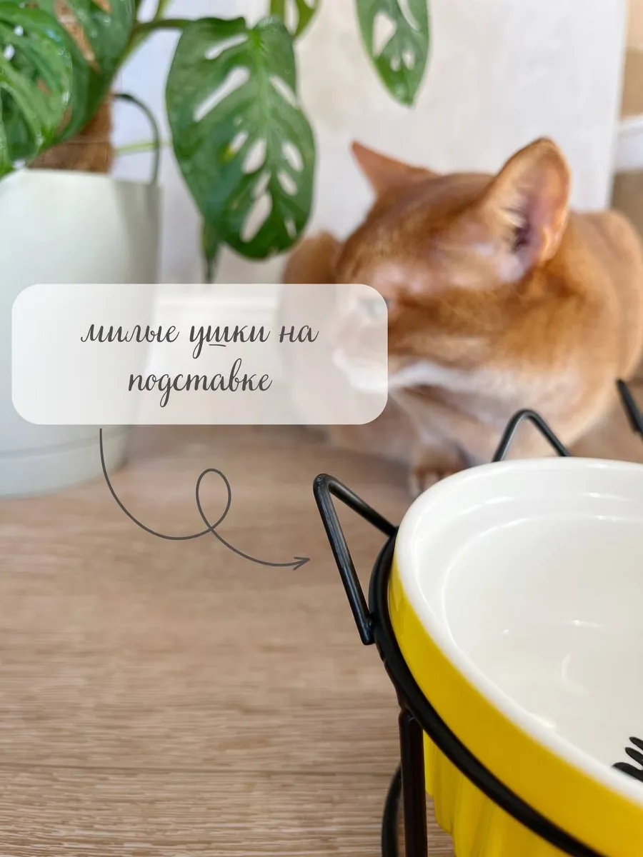 Миска керамическая Qalla двойная на подставке - фото 4