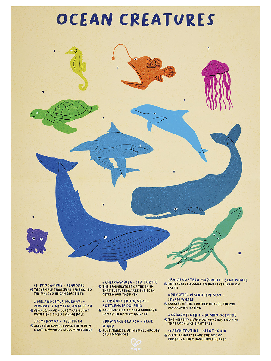 Пазл Hape классический - фото 3