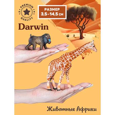 Игровой набор DARWIN Животные Африки 12 шт