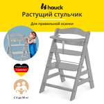 Стульчик для кормления Hauck Alpha трансформер
