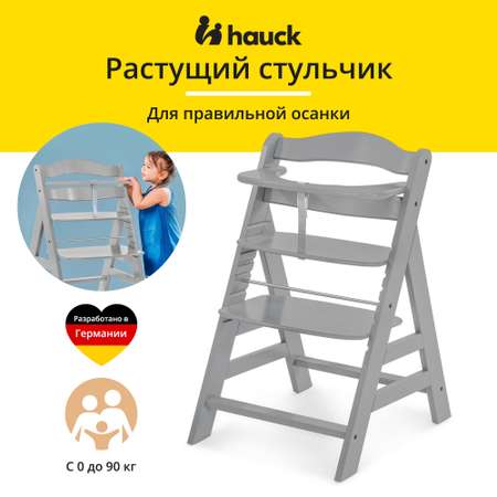 Стульчик для кормления Hauck Alpha трансформер