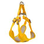 Шлейка-жилетка для собак мелких пород Barbaks Манго S 1.5*31-46см