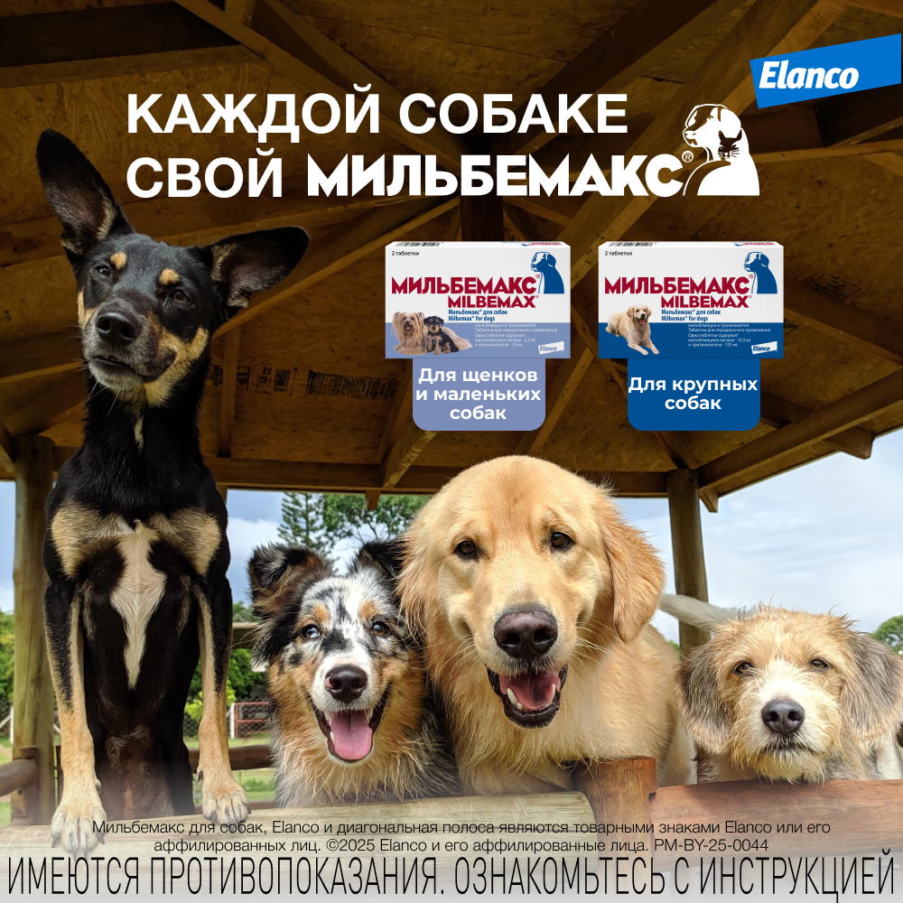 Антигельминтик для щенков и собак Elanco Мильбемакс малых пород 2таблетки - фото 10