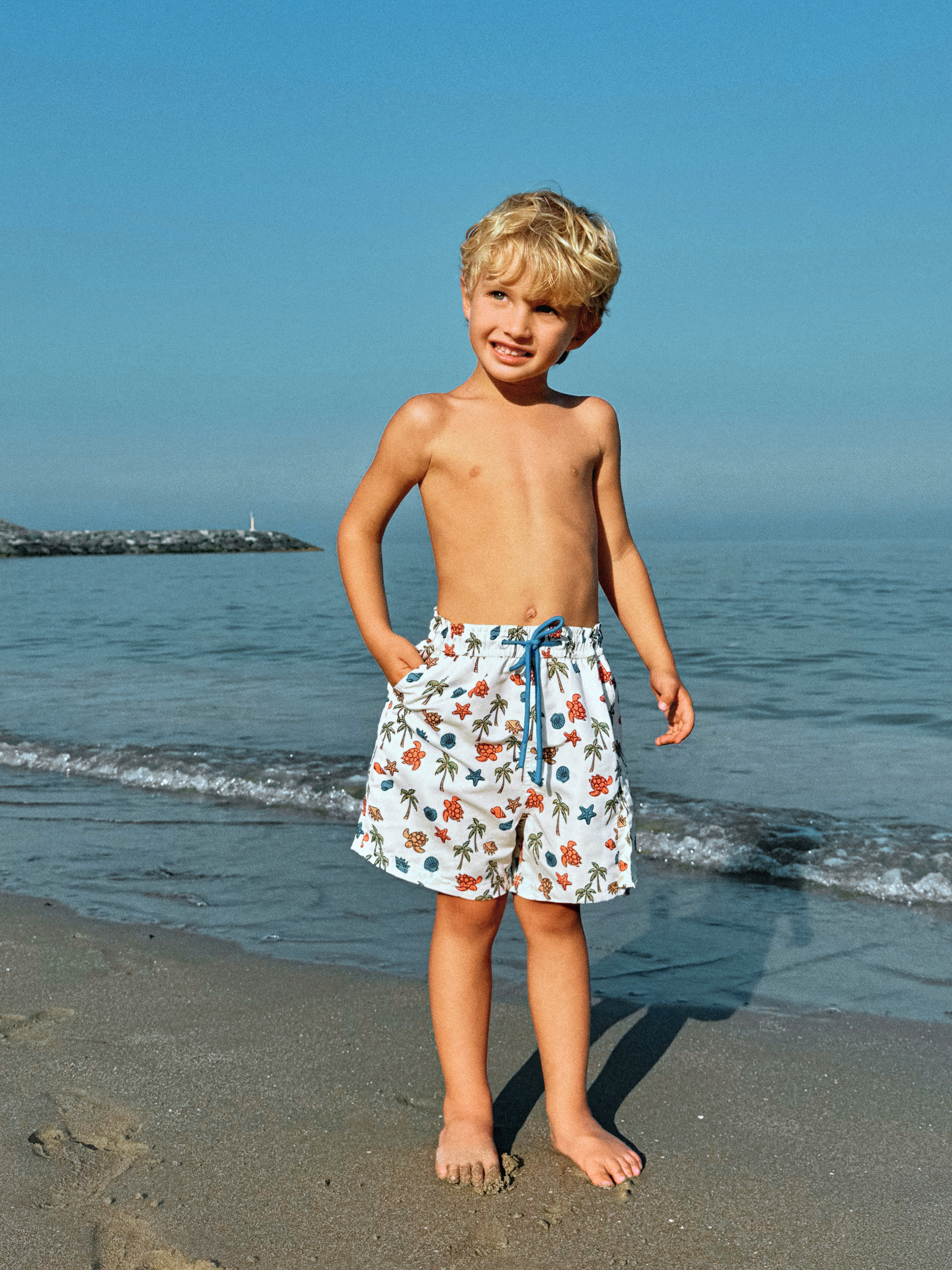 Купальные шорты Acoola 20124750022_0086104 - фото 4