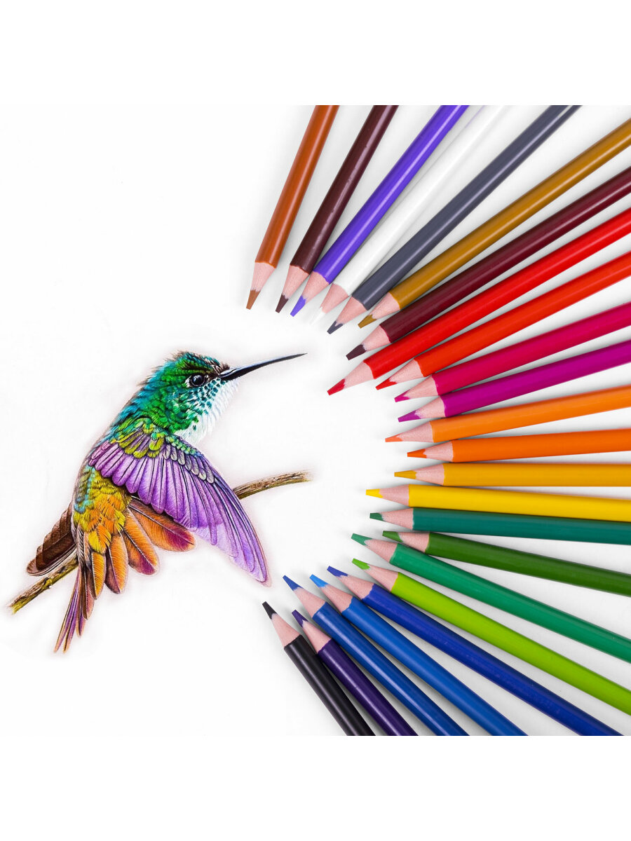 Карандаши цветные Brauberg 72 шт. - фото 14