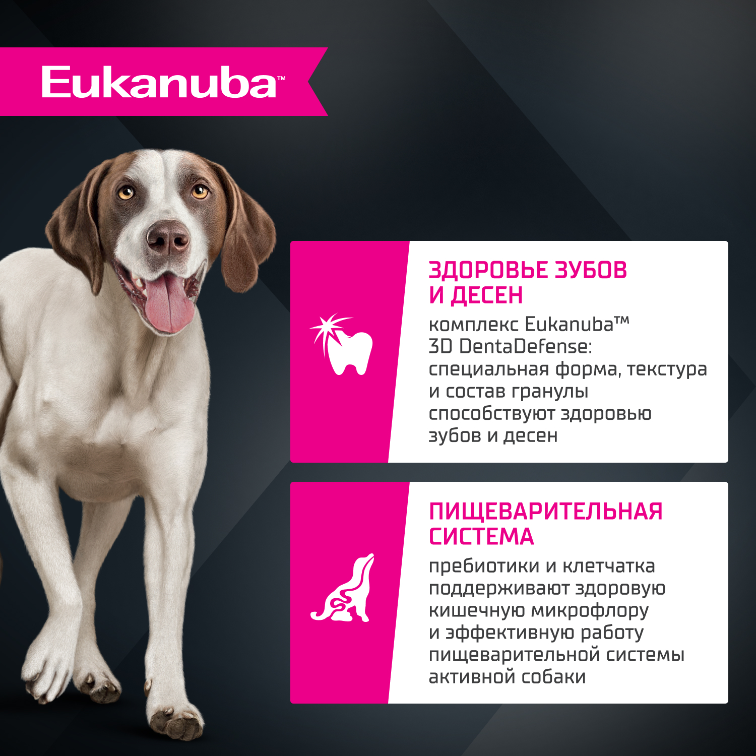 Корм для собак сухой для взрослых собак Eukanuba крупных и очень крупных пород старше 1 года с ягненком 12кг - фото 3