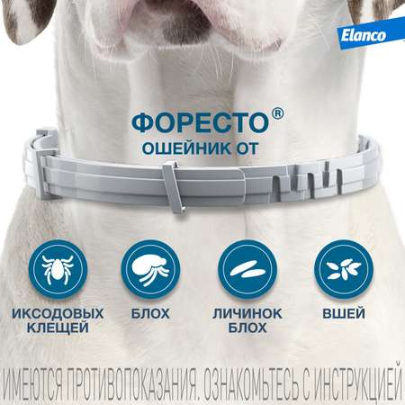 Ошейник для собак Elanco Foresto менее 8кг от блох и клещей защита 8месяцев 38см 65231