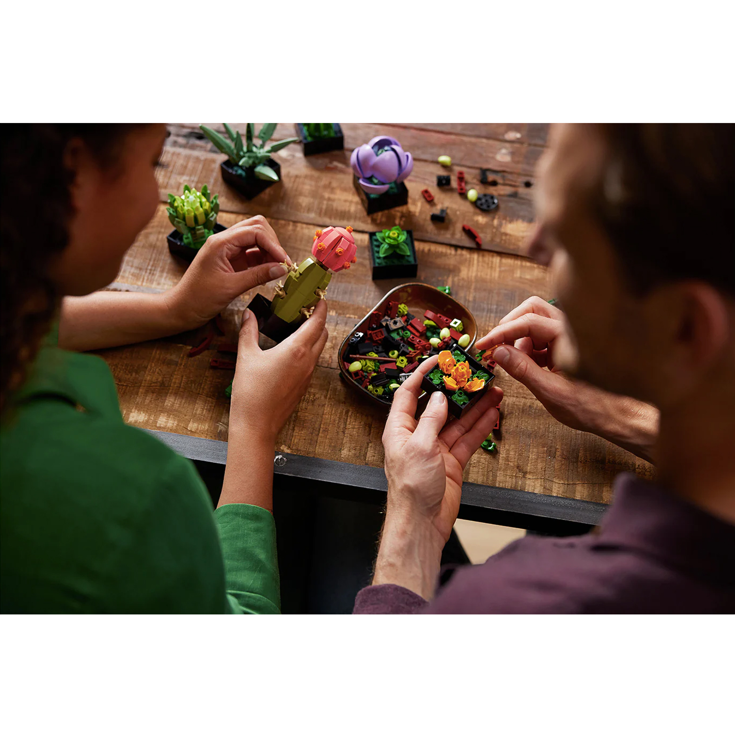 Конструктор LEGO Botanicals Кактусы 771 дет. - фото 9