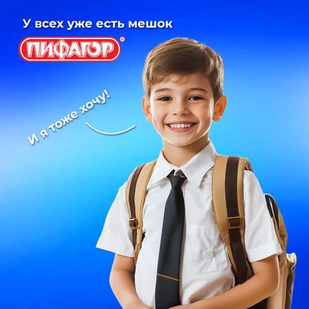 Мешок для обуви Пифагор