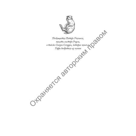 Книга Махаон Гарри Поттер и Кубок Огня Хуффльпуфф