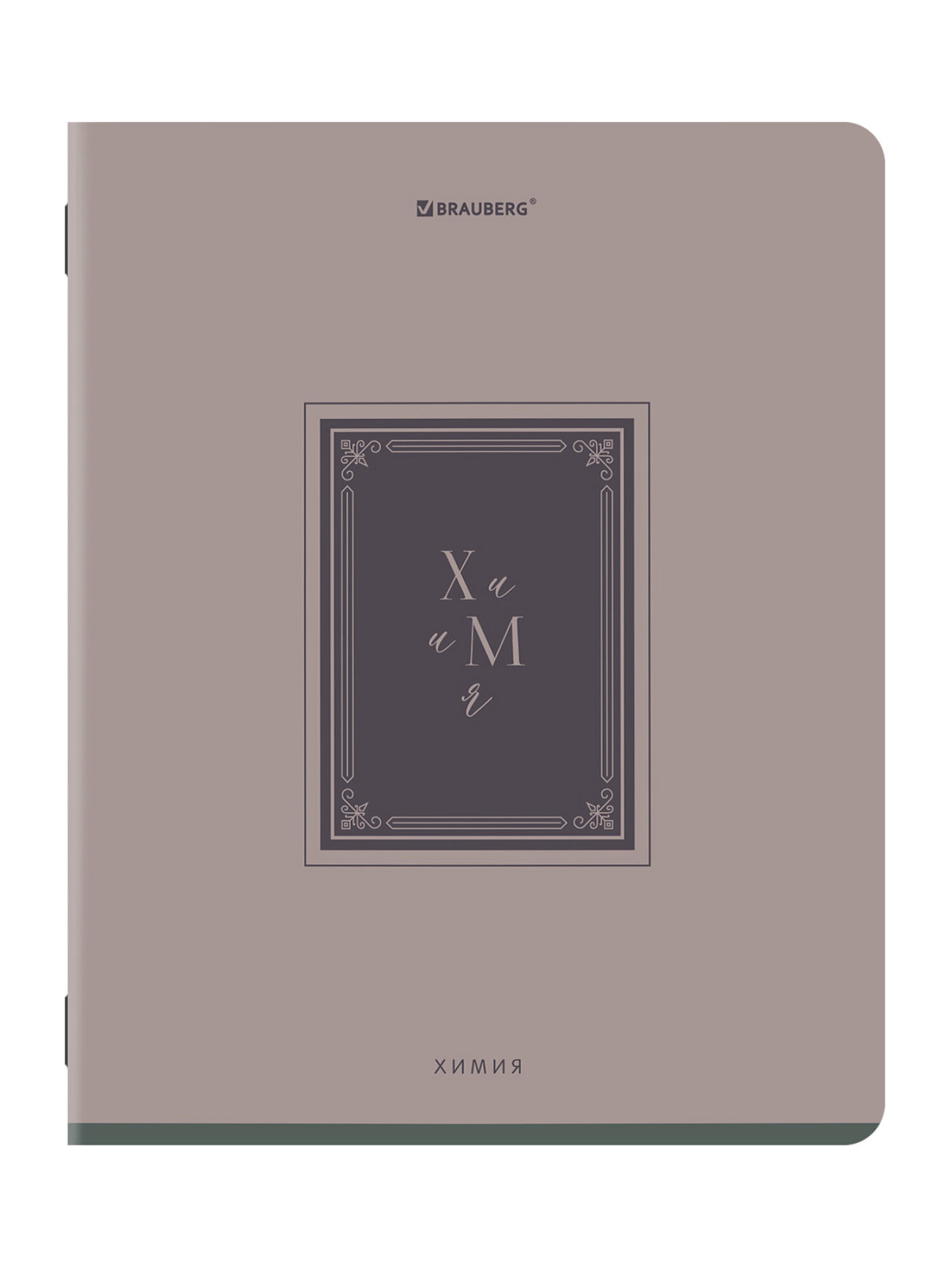 Тетрадь Brauberg 48 лист. 12 шт. - фото 18