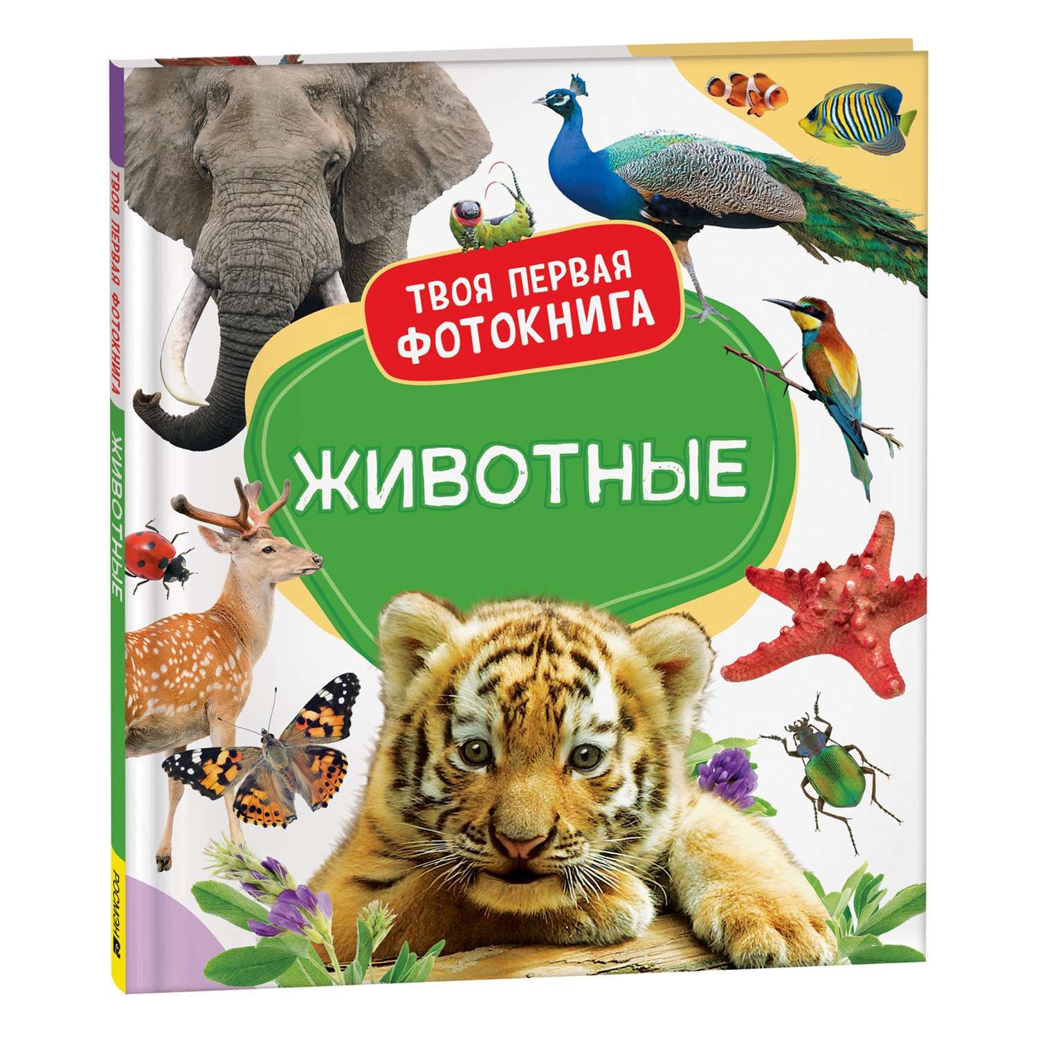Книга Животные Твоя первая фотокнига - фото 1