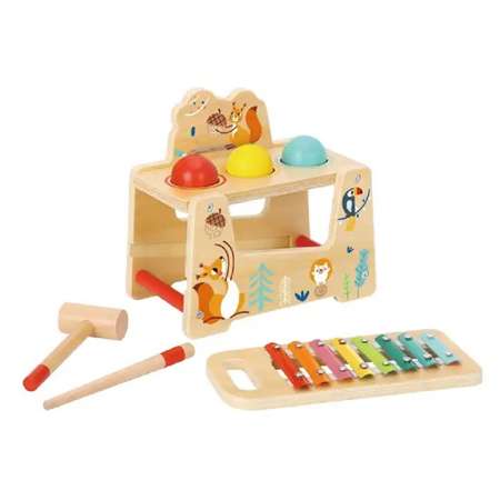 Игрушка Tooky Toy сортер