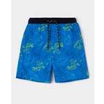 Шорты купальные Futurino