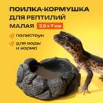 Поилка кормушка PETPOWER для рептилий эублефара в террариум