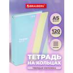 Тетрадь со сменным блоком Brauberg клетка