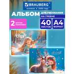 Альбом Brauberg душа леса А4 40 лист. 2 шт.