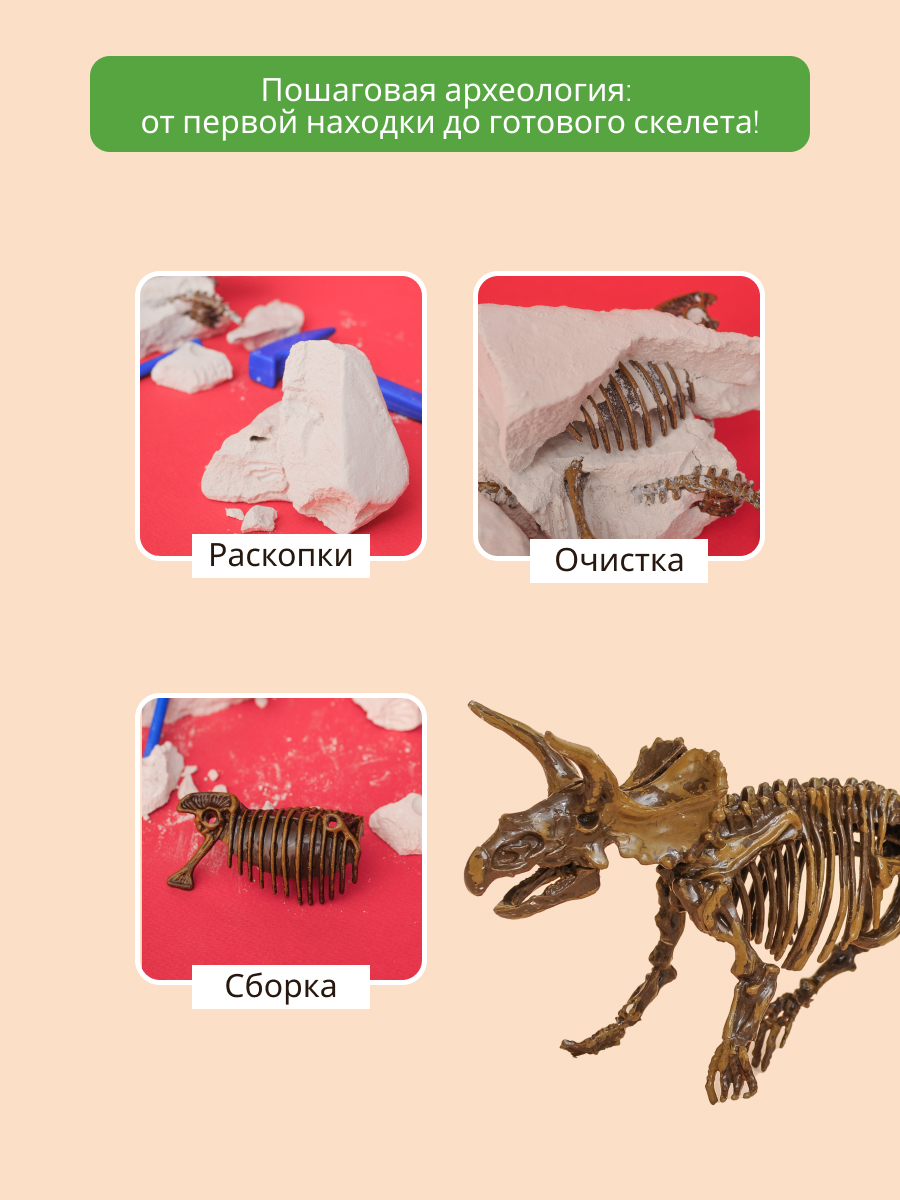 Набор для раскопок KONIK Science - фото 4